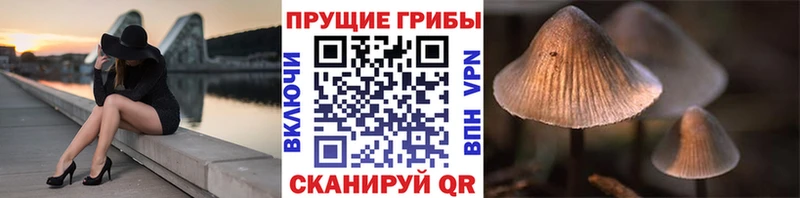 Галлюциногенные грибы Magic Shrooms  Купить закладки  Миасс 